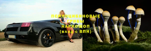 стафф Балахна