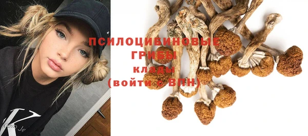 стафф Балахна
