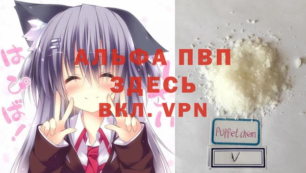 стафф Балахна